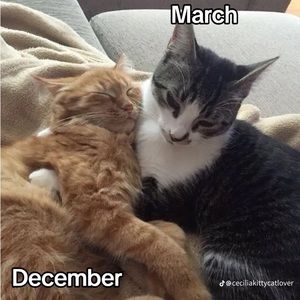 Meet your Posher, Benjamin